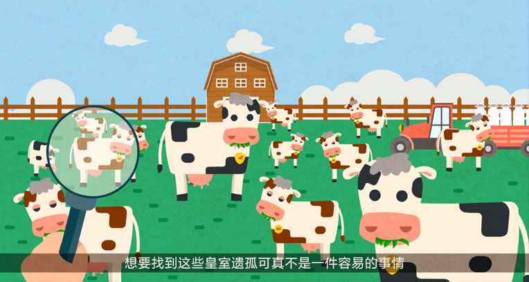 影视视频制作